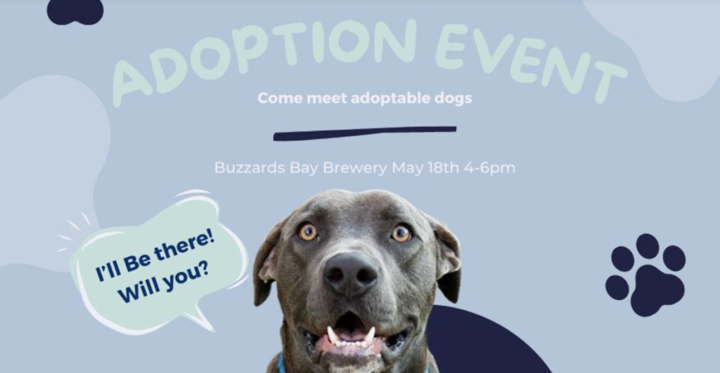 Adoption Event, Buzzards Bay Brewery, Westport